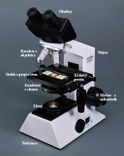 mikroskop s popiskem